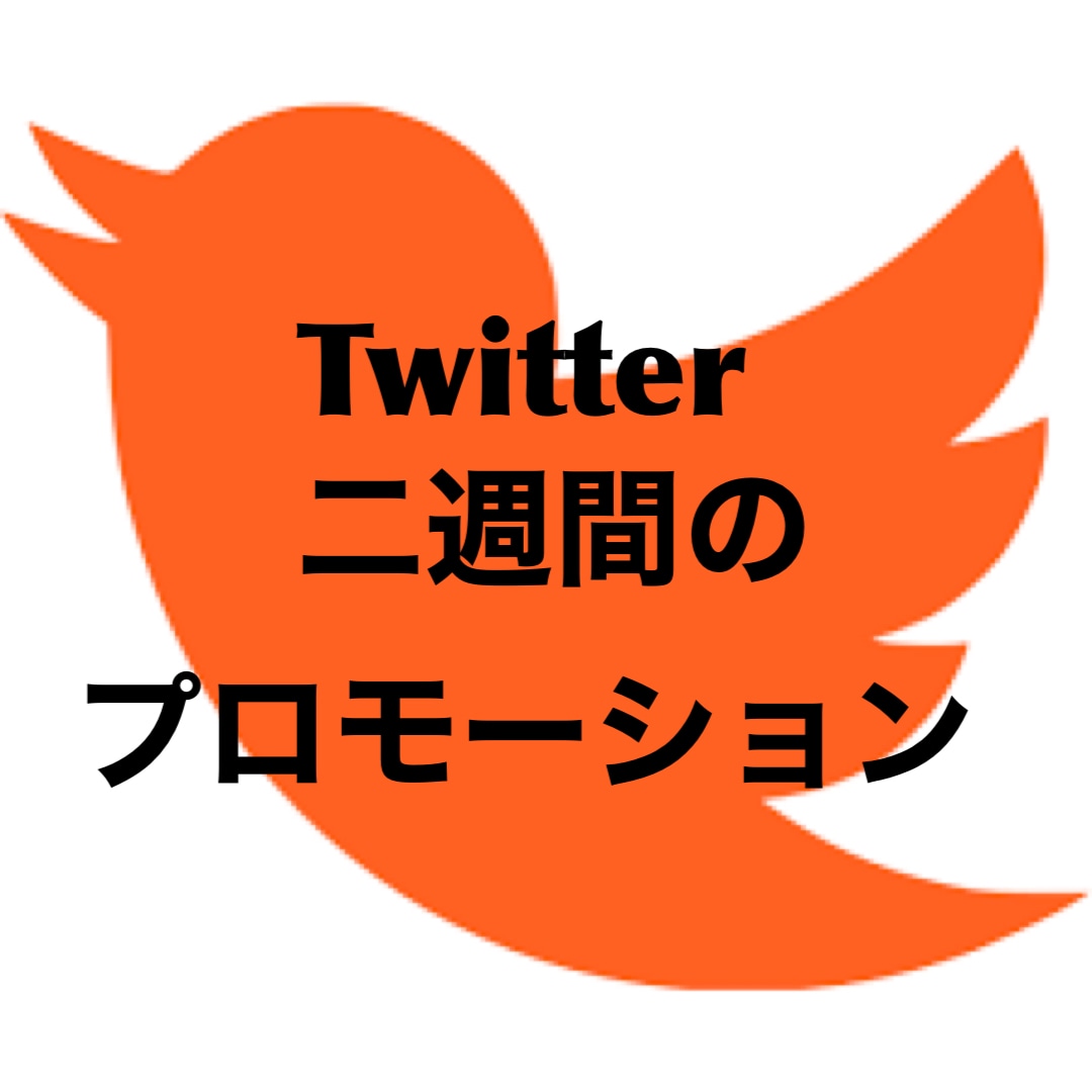 X・Twitterプロモーション二週間し続けます 14日間ツイート拡散★SNSマーケティング・宣伝ならこれだ！ イメージ1