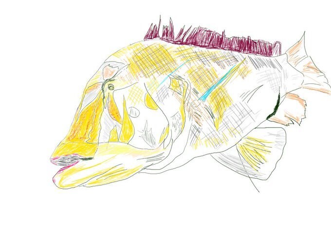 タマンの魚を描きます 魚拓を日々、描いてます！お魚好きな方に、是非！！ イメージ1