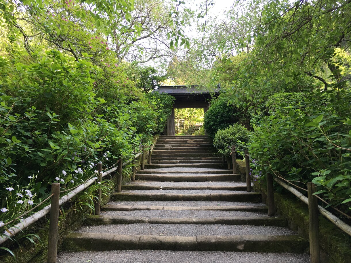 鎌倉観光したい方！！おすすめコースご紹介いたします 鎌倉出身、鎌倉検定取得者がツウな情報をご提供します。 イメージ1