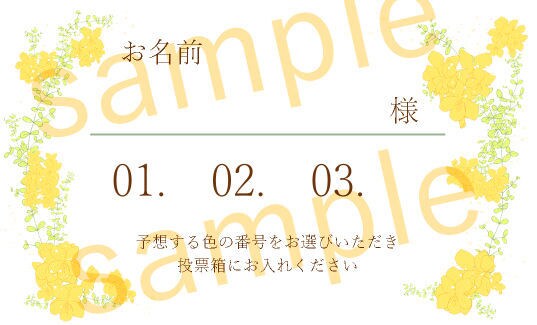 おしゃれなデザインでクイズ用紙を制作します 個性的なドレス当てクイズをお手軽スピーディーに♪ イメージ4