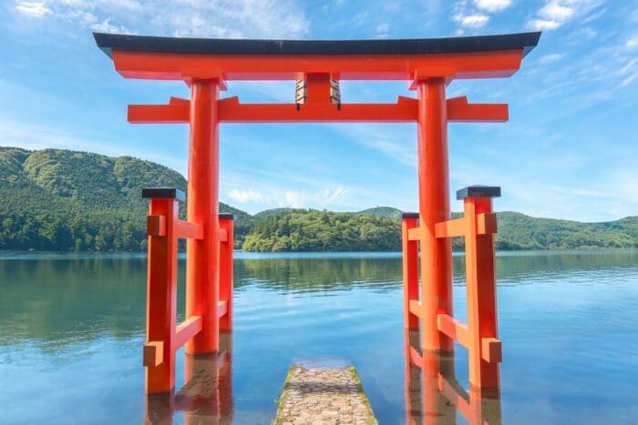 龍神の幸運導き鑑定・貴方を幸せに変える未来をみます 鑑定後、希望者に使用した龍神カードの画像を贈呈します イメージ6