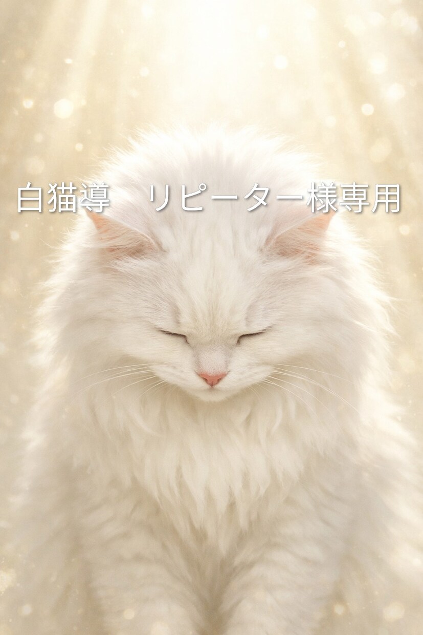 リピーター様専用✾✾本鑑定一部こちらでみます 本鑑定リピーター様(500円メニューを除く)専用窓口です イメージ1