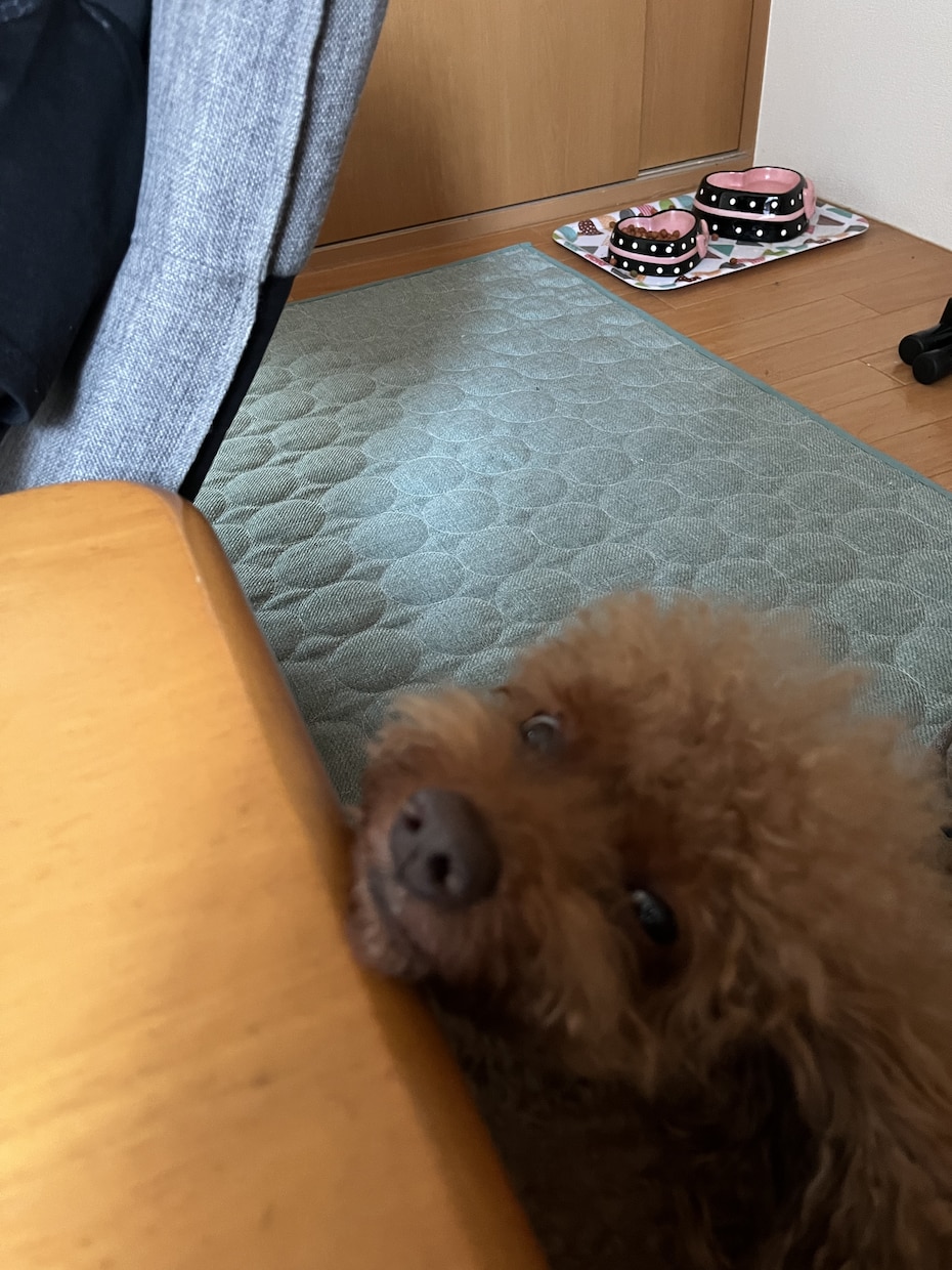 笑顔にそして元気に日々過ごせるようにします 台風ですよぉ。今日は外にむやみに出ないように！ イメージ3
