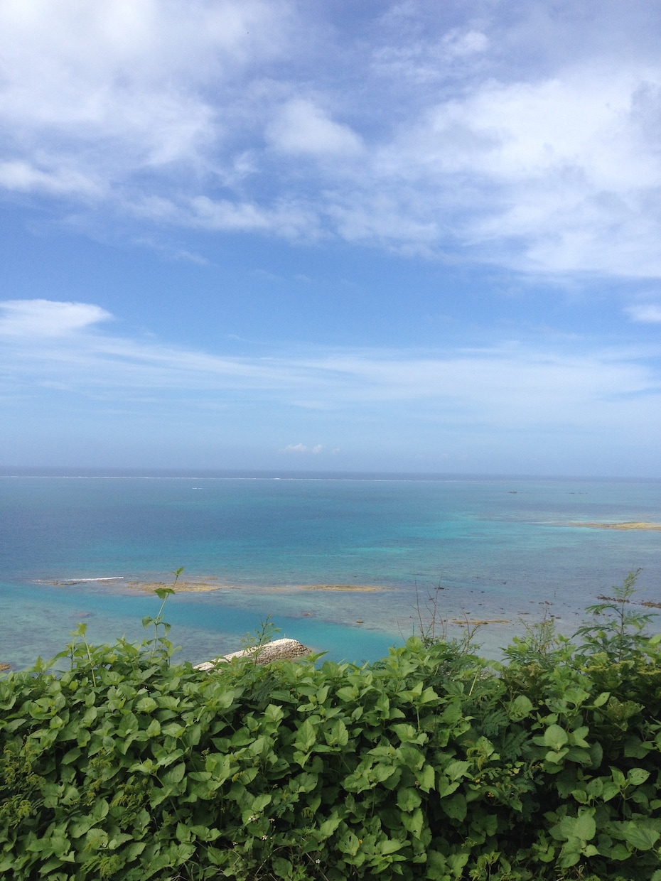 忖度無し！沖縄旅行をプロデュースいたします 旅行会社も認めるマニアック沖縄旅行 イメージ4