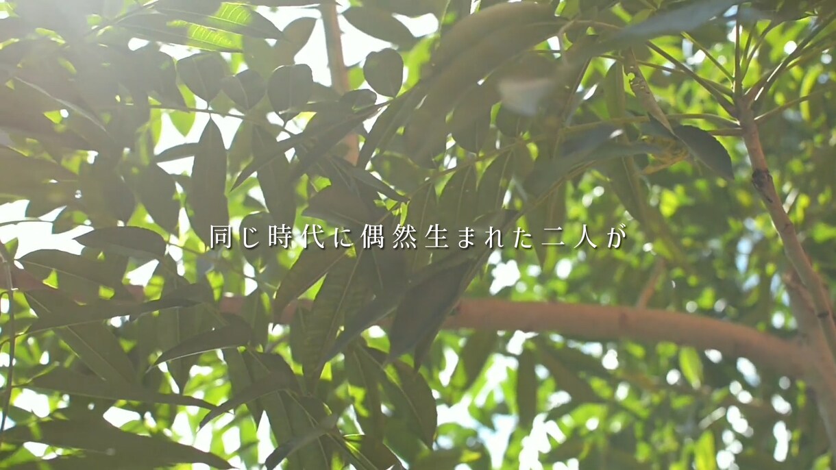 短期納品可能！結婚式オープニングムービー作ります 先着5名限定価格【全て無料】音源変更・写真変更無制限 イメージ6