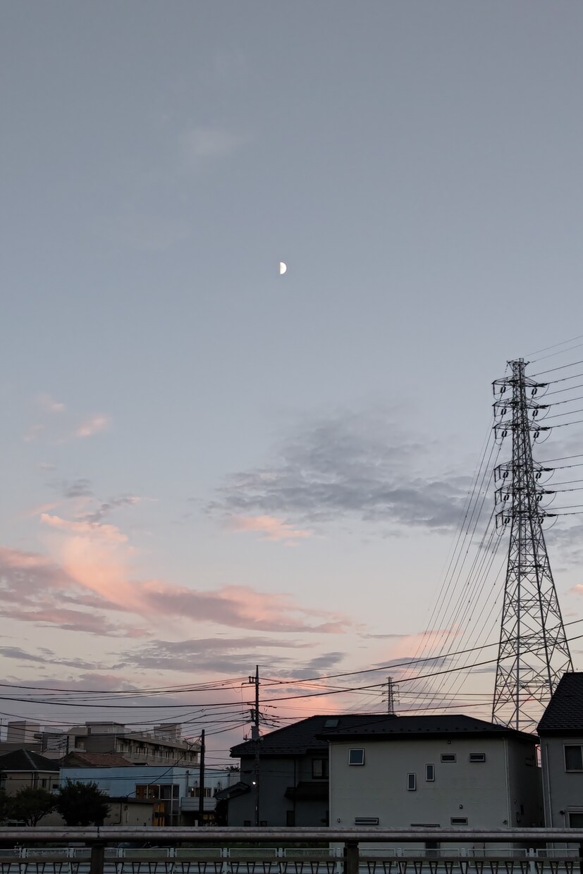 アイコンや壁紙等に使える写真を撮ります 安くお写真を手に入れたい人におすすめです。 イメージ4