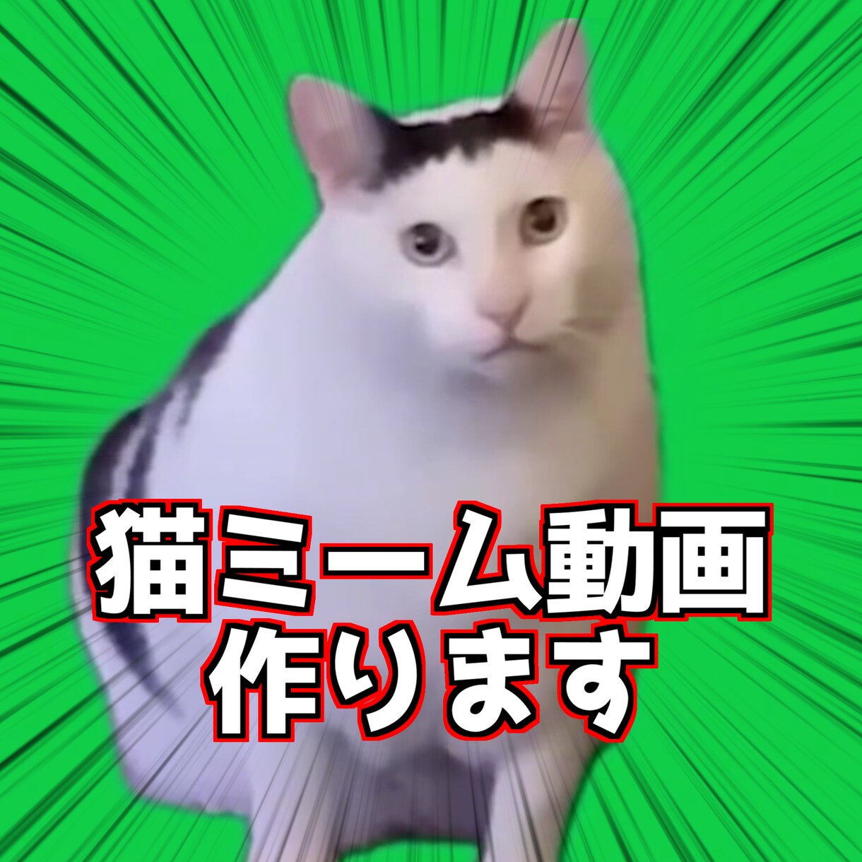 猫ミーム動画の編集おこないます 猫ミーム動画の編集を行います。 イメージ1