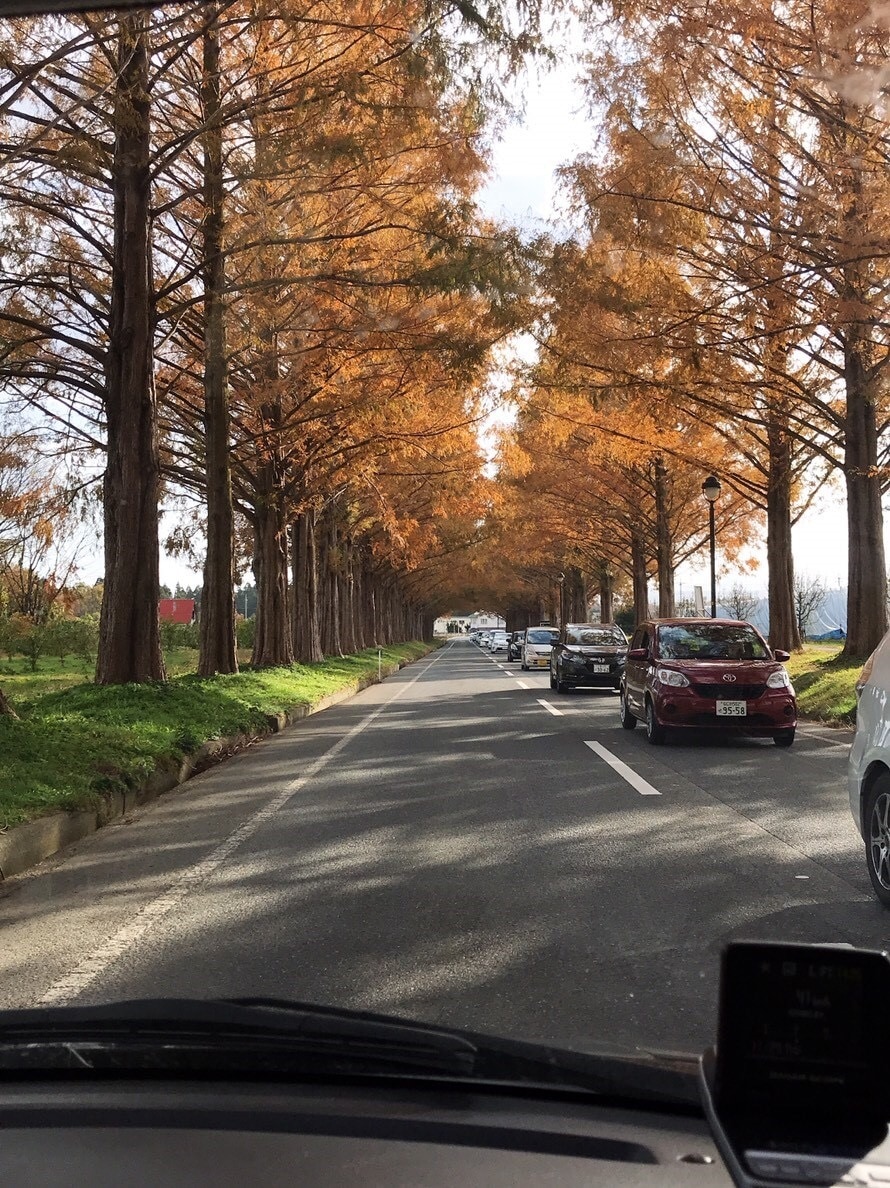 恋愛の悩み全てをプロの占い師が心を込めて占います AIが出せない答えが聞ける。どうすればいいか答えを教えます イメージ7