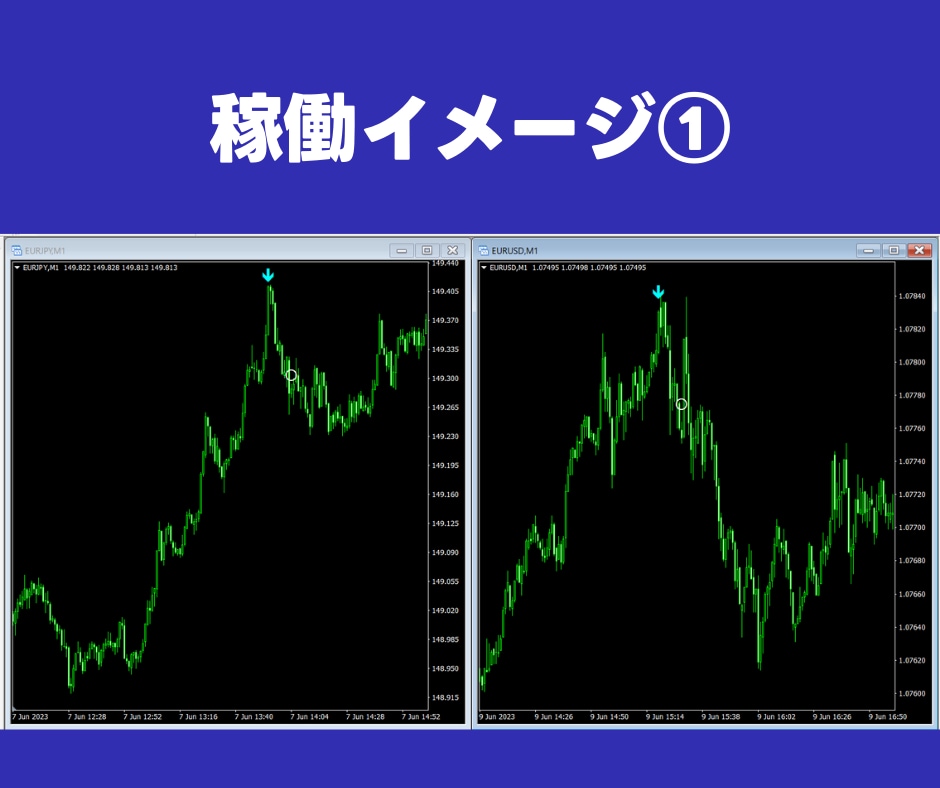 統計的優位性バイナリーサインProを提供します 10年優位性検証済み｜即戦力の無裁量シグナル イメージ6