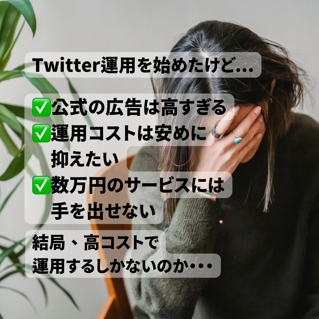 初月だけの赤字プラン！Twitter運用代行します ファンになるフォロワーを獲得します！✨ イメージ2