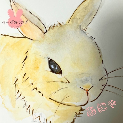 SNSに！あなたのイメージを写真からうさぎ化します ⭐︎先着3枚さま価格〜世界に一つのアイコンで、他と差別化を〜 イメージ7