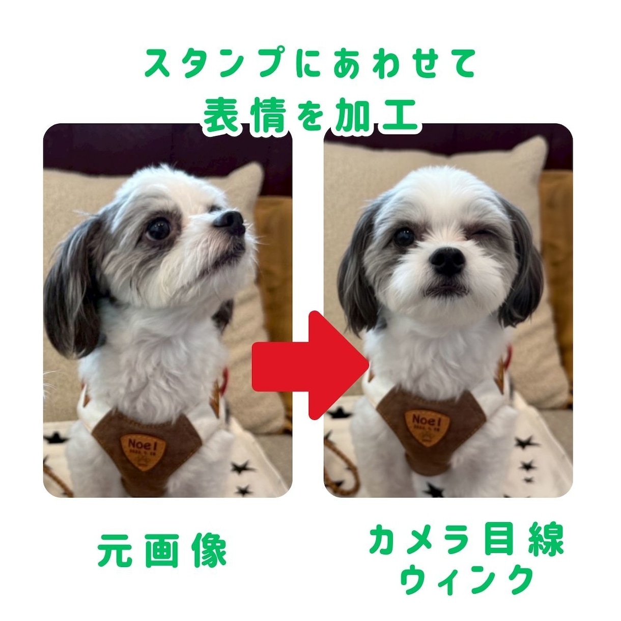 うちの子がLINEスタンプに！作成＆申請代行します 日常のトークを、世界にひとつだけの可愛いスタンプに イメージ2