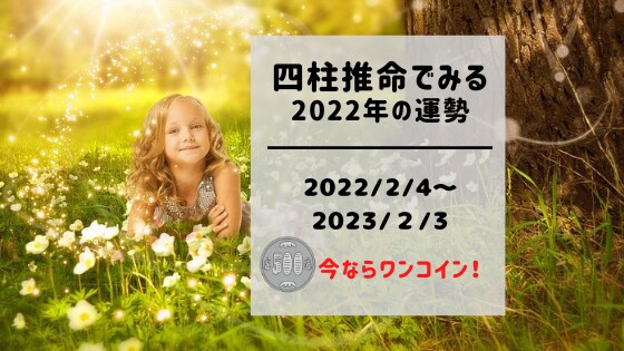 ワンコイン！2022年の運勢を四柱推命で占います 占いの帝王と呼ばれる四柱推命で、あなたの本質や運勢を徹底鑑！ イメージ1