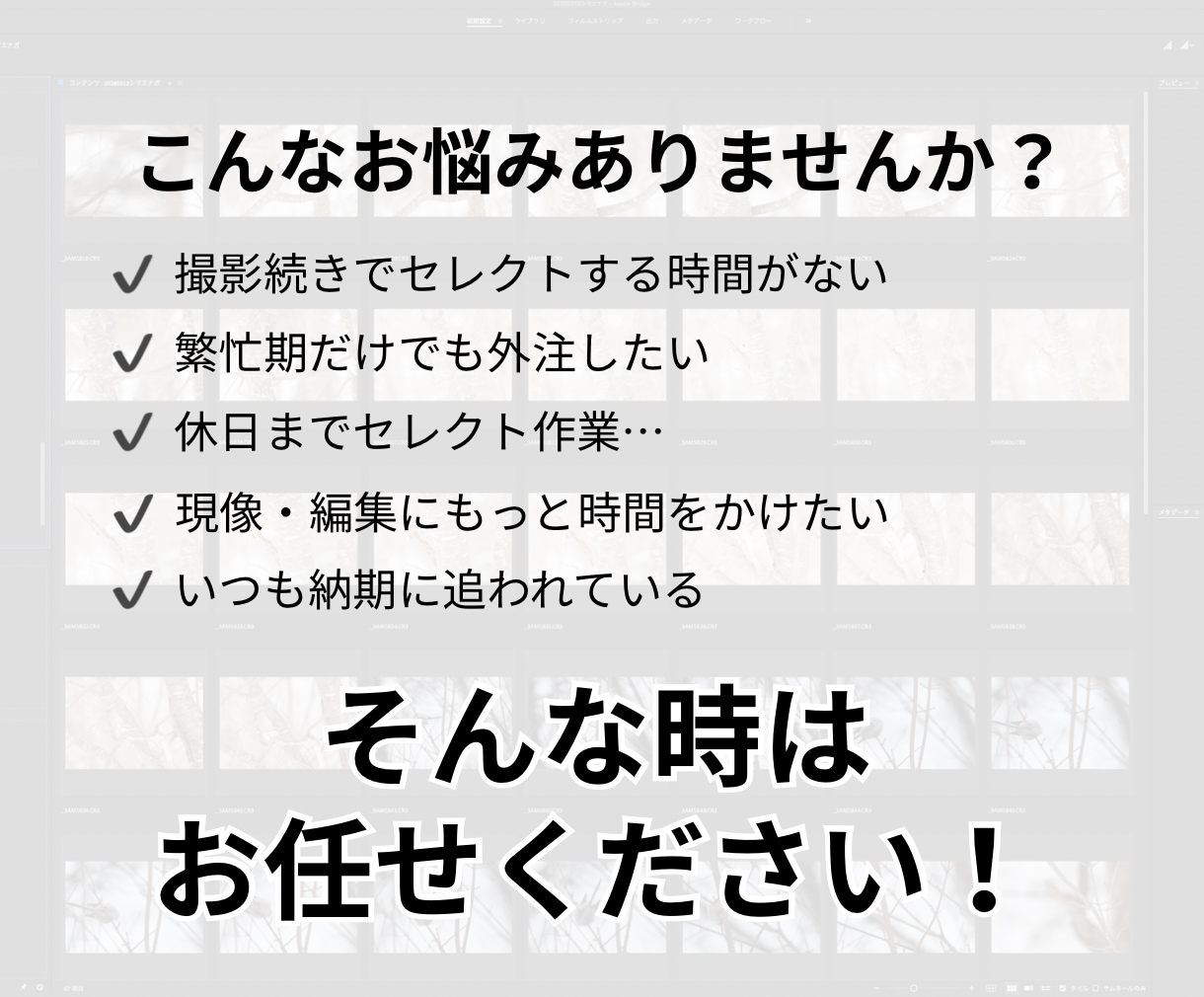 撮影会社・カメラマン向け｜写真セレクト代行します 撮影現場を知るスタッフが丁寧に対応 イメージ2
