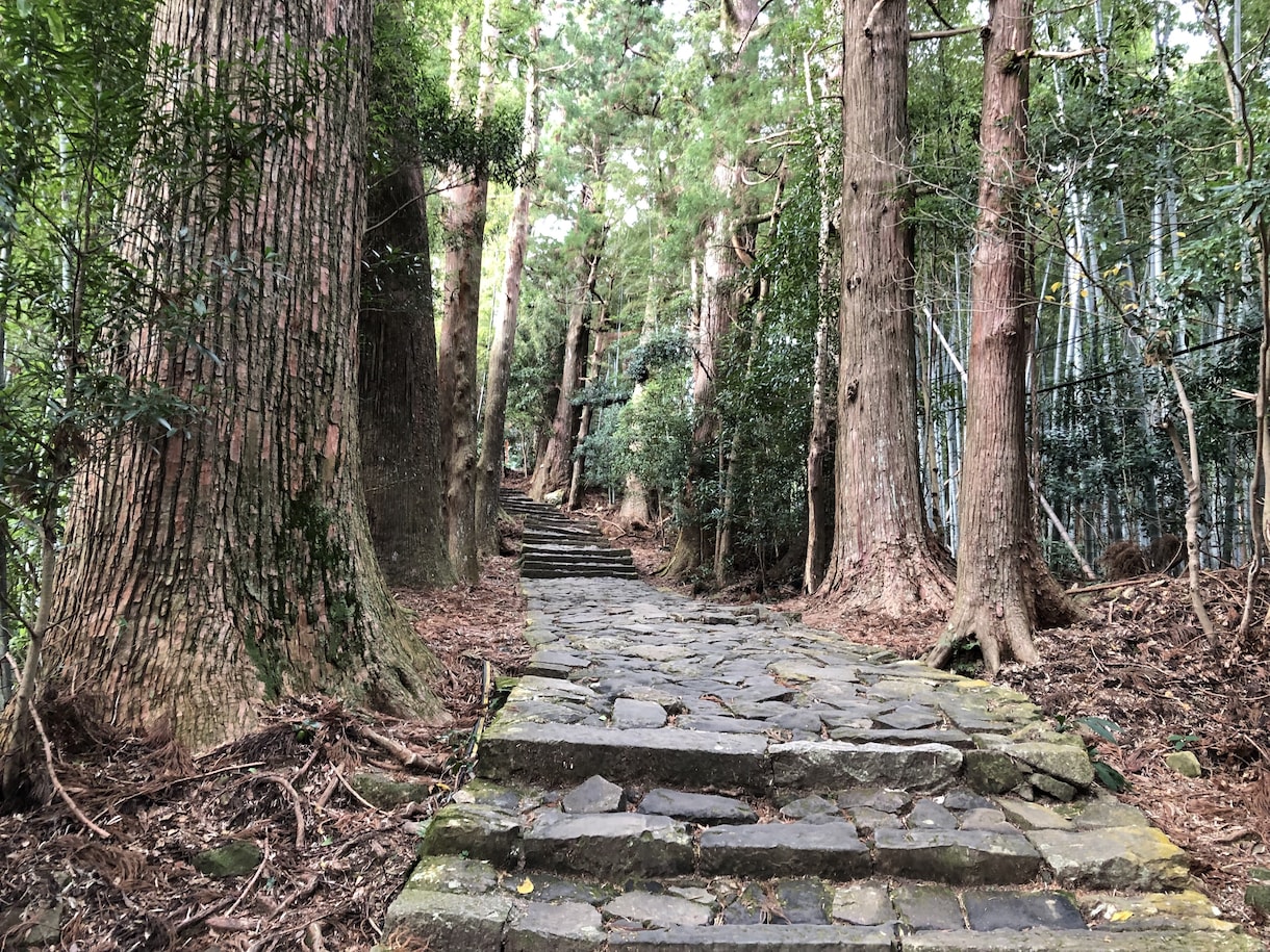 お洒落な画像編集承ります フォロワー8万人超えの男子が写真をお洒落に加工いたします！ イメージ3