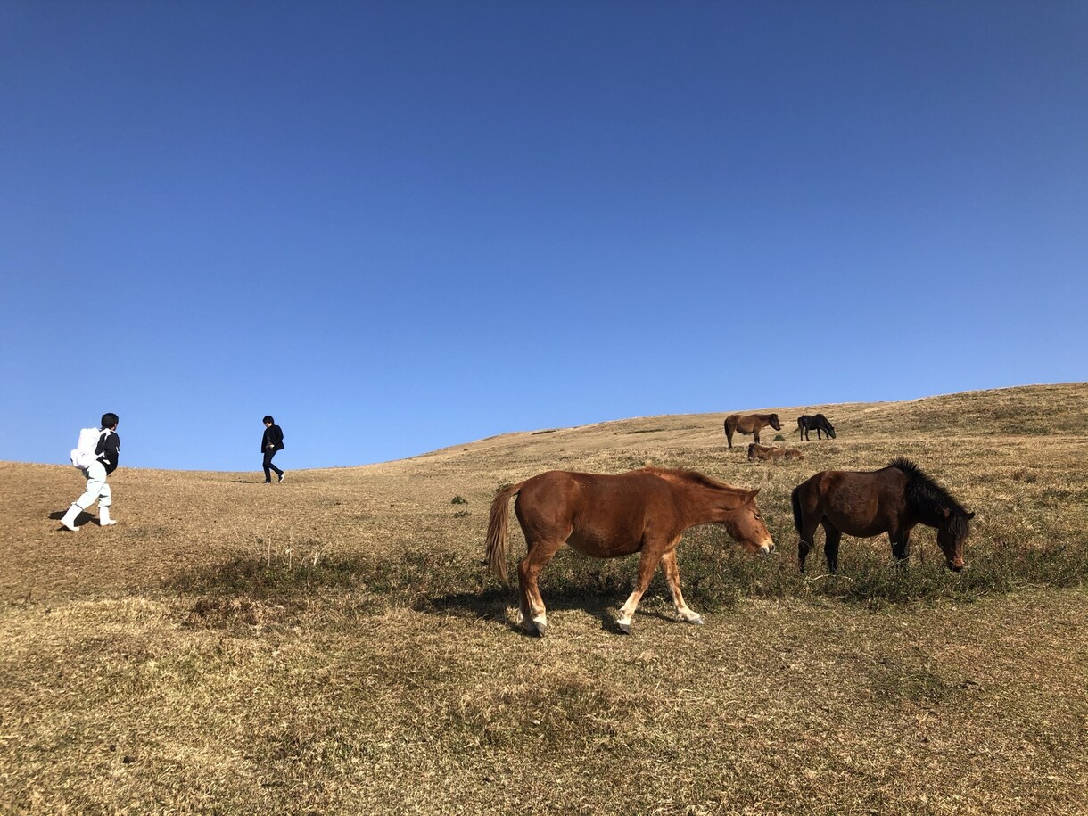 旅行で分からない部分だけでもサポートします 旅行プランからオススメグルメ、景色、旅先の知識だけでも歓迎！ イメージ2