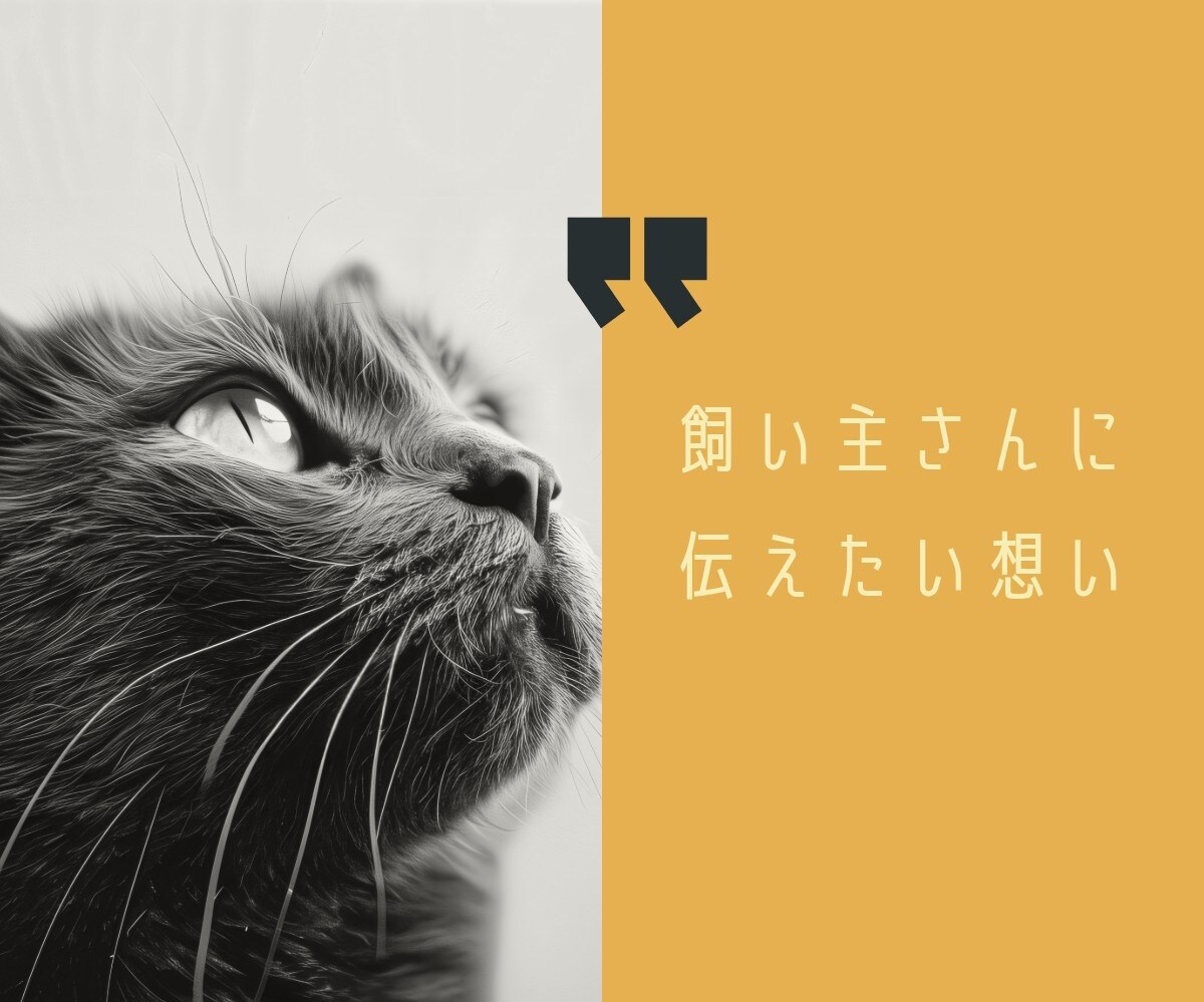 ペットからあなたへ…心のメッセージ伝えます |涙の先にある温もり　あの子が伝えたかったこと イメージ4