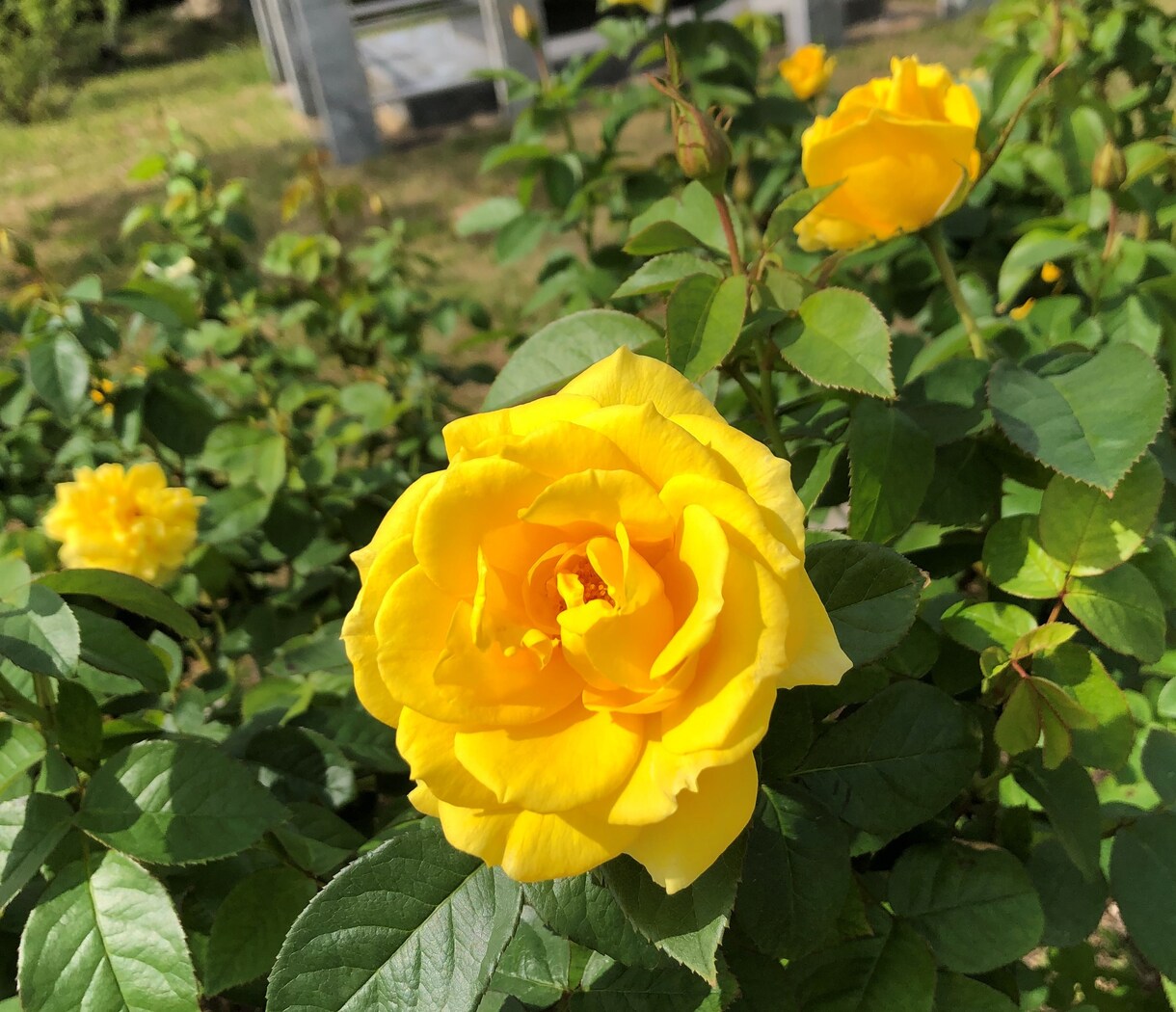 あなたの心に寄り添います 辛い気持ちでいっぱいな時　そうじゃなくても　いつでもどうぞ イメージ3
