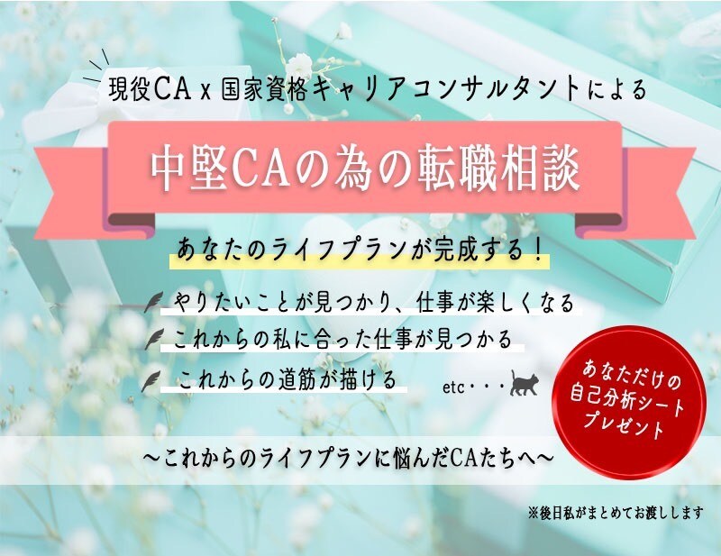 現役外資系CAが貴方の転職をサポートします エアライン・サービス業から他業種への転職相談・カウンセリング イメージ1