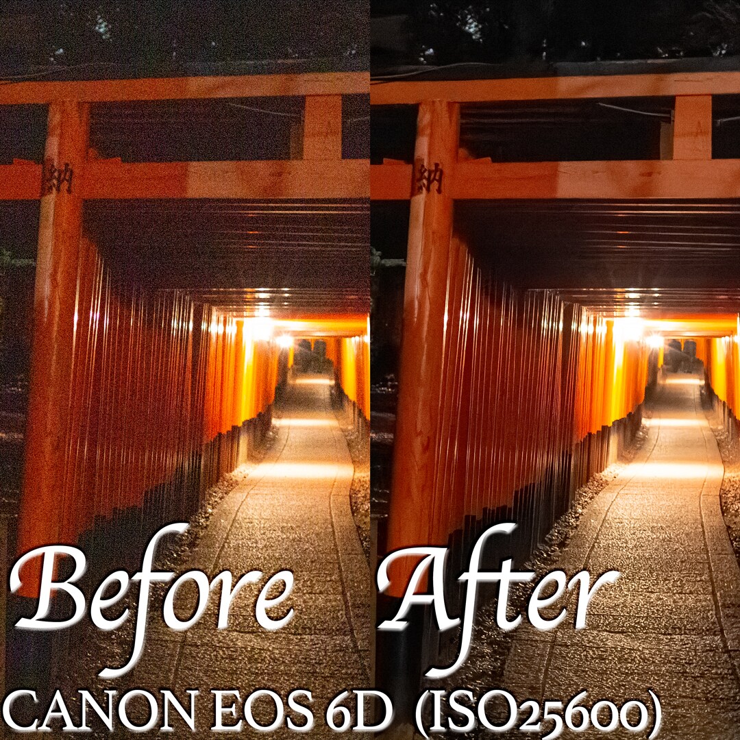 比類なき驚愕のノイズ除去効果で写真を蘇らせます (AI技術によるノイズリダクション効果) イメージ4
