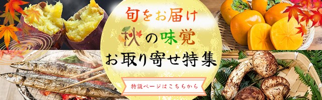 集客力を高めるバナー制作します クリックしたくなる理由、デザインにあります イメージ1
