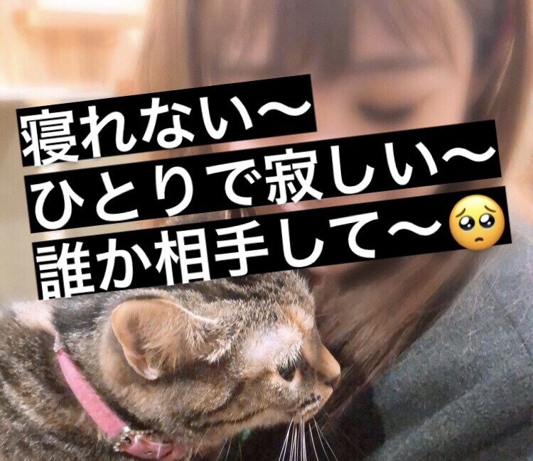 寝れない!寝落ちするまでお相手します 寝れない〜寂しい〜たすけて〜( ;∀;) イメージ1
