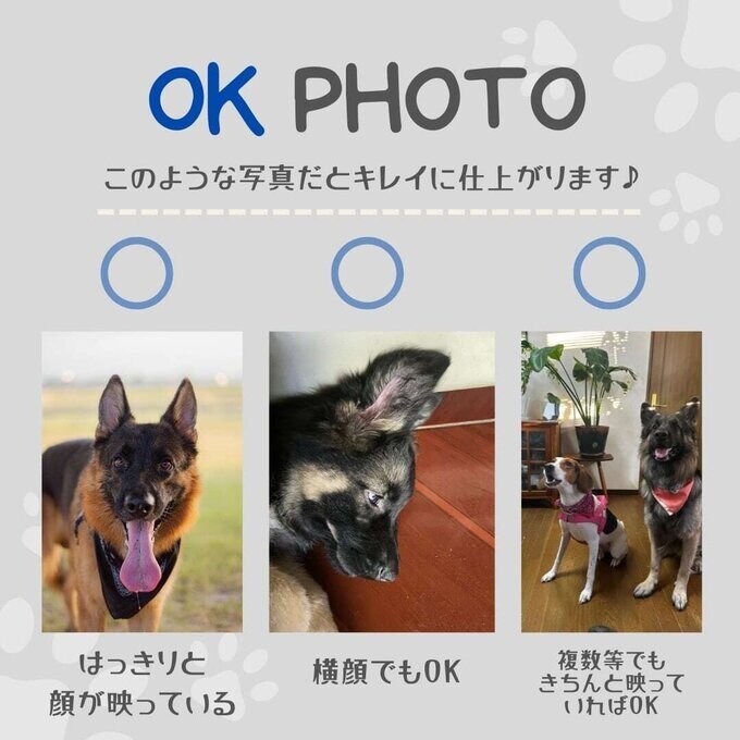 お洒落でそっくりなペットの似顔絵描きます あなたと愛するペットの絆を永遠に残すためのデジタルアート制作 イメージ7