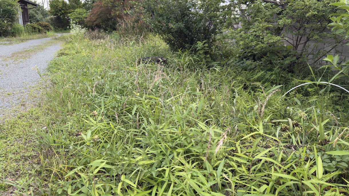 元森林組合×宅建士！空き地の草刈り代行します 立ち会い不要！不動産と山のプロが空き地などの草を刈ります イメージ5