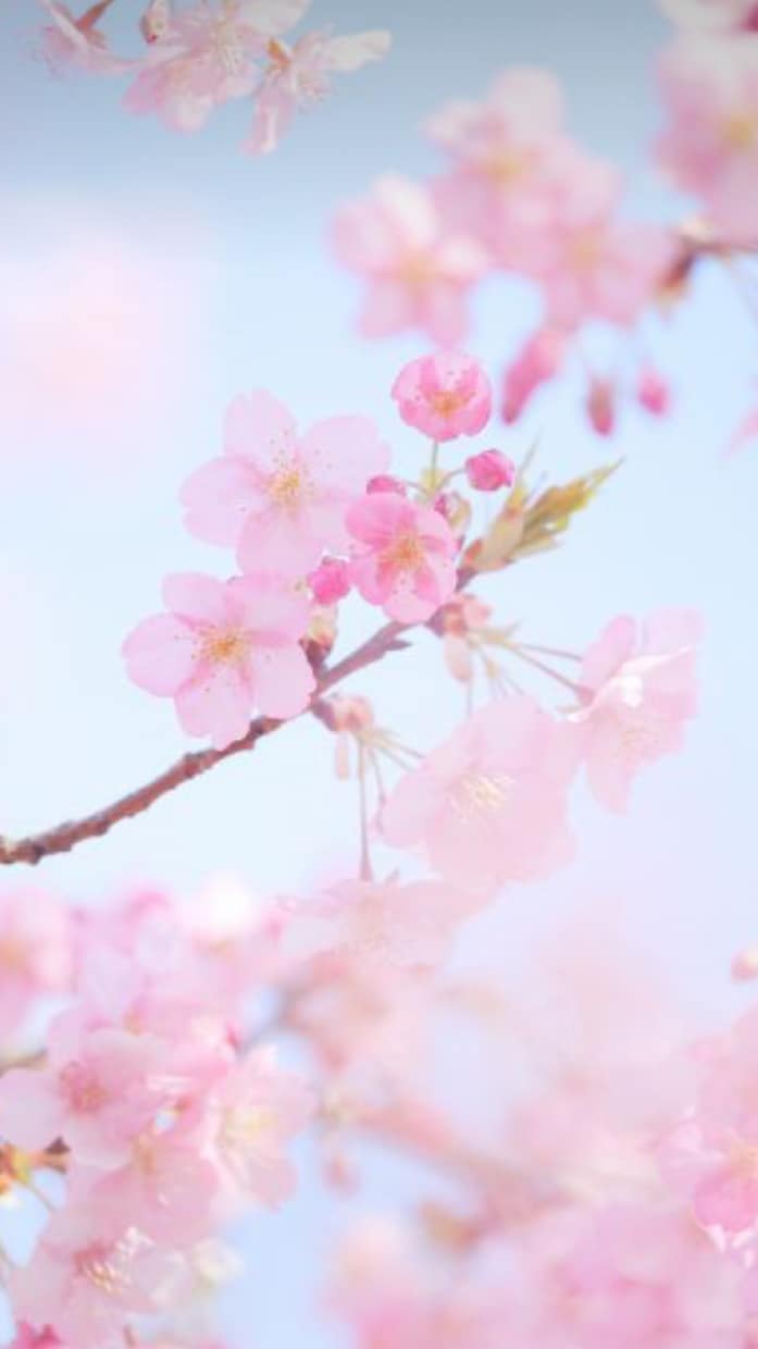 好きな人の話、悩み、相談相手になります あなたの駆け込み寺になり、悩み解決のお手伝いをします。 イメージ7
