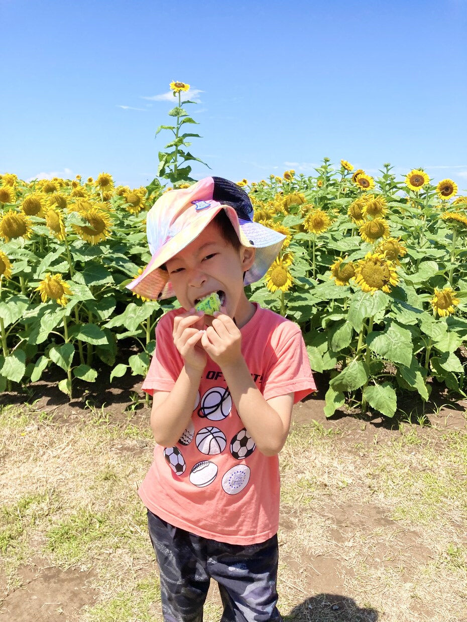 その生きづらさ、発達障害当事者が、ぜーんぶ聴きます 引け目に感じるコトも、落ち込むコトも全部、聴かせてください イメージ7