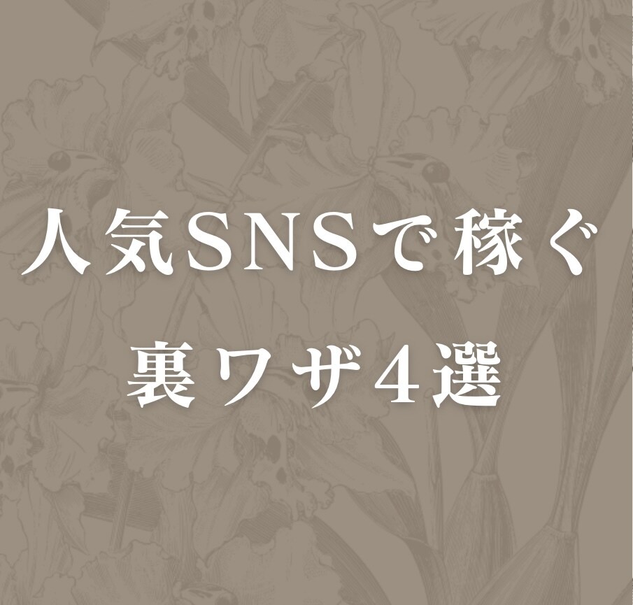 初心者大歓迎⚡人気SNSで稼ぐ裏ワザ4選を教えます ⭕️好きな時間にできる⭕️0円で始められる✅副業 イメージ1