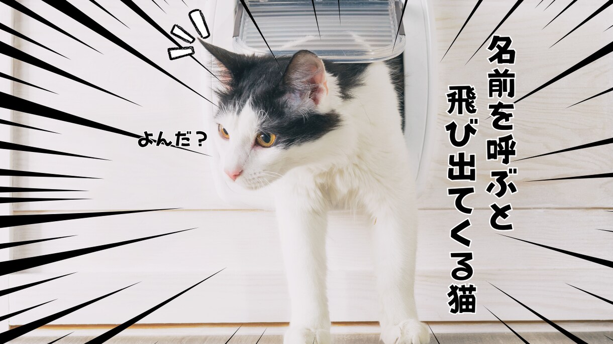 YouTubeの猫サムネイルを格安で作成ます 格安・クリック率UP・素早い！猫専門サムネイルデザイン イメージ4