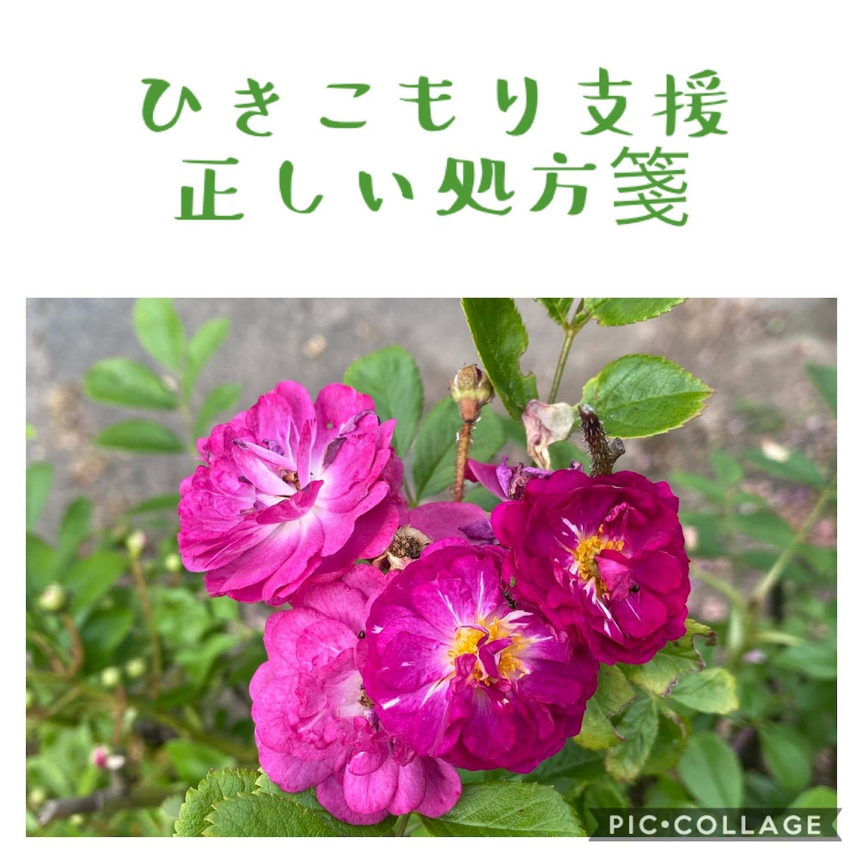 不登校・ひきこもり・子どもの暴言・相談承ります 専門資格保持者が「不登校やひきこもりの悩み」にお答えします。 イメージ6