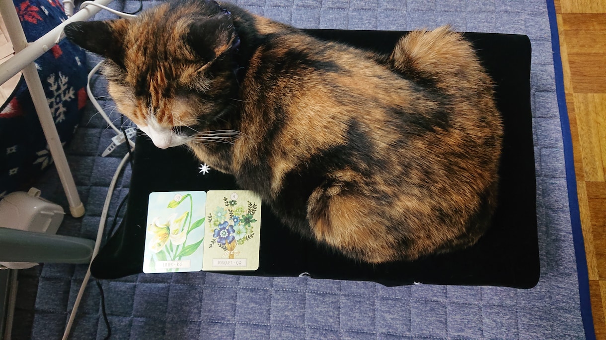 対面鑑定の実績からあなたの運勢占います お仕事、恋愛、家庭…気になるコト、占ってみませんか…？ イメージ5
