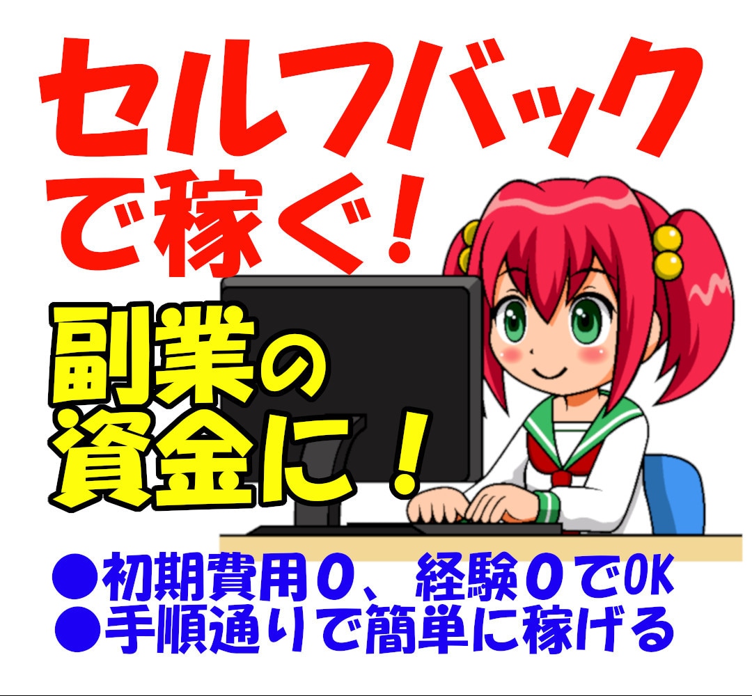 副業の資金に初心者がセルフバックで稼ぐ方法教えます マニュアルと解説動画のお得なセットを提供、学習してすぐに行動 イメージ1