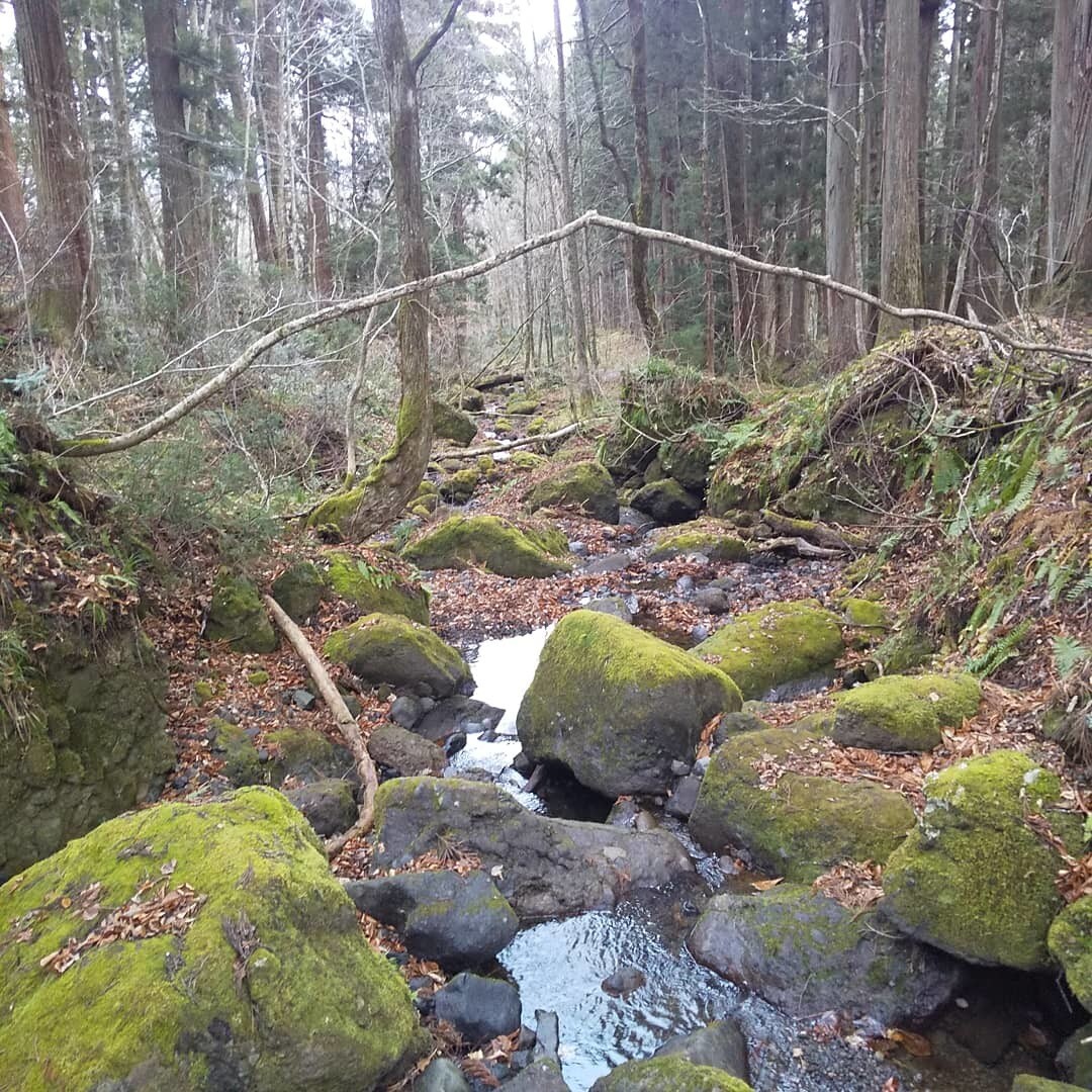 旅行管理者資格保持者が神社参拝旅行を一緒に考えます スピリチュアル旅行をしたいから、誰かと相談しながら決めたい♪ イメージ8
