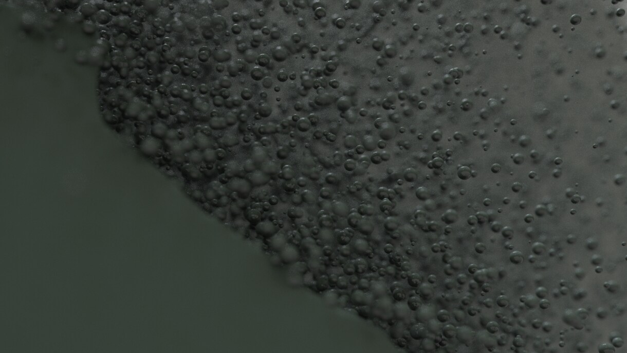CGを用いた静止画、映像制作を行います 他では得られないプロのクオリティをお届けします。 イメージ2