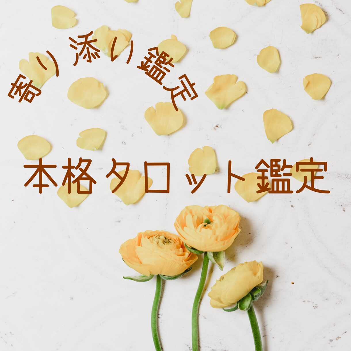 本格タロットであなたのお悩み鑑定します 迅速且つ寄り添った鑑定で少しでもあなたの心を軽く✨ イメージ1