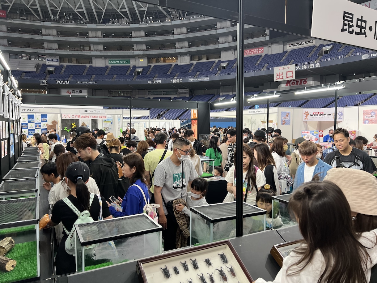 生き物を使った集客をいたします 2日間で約6万人来場のイベントプロデュースを18年‼️ イメージ2