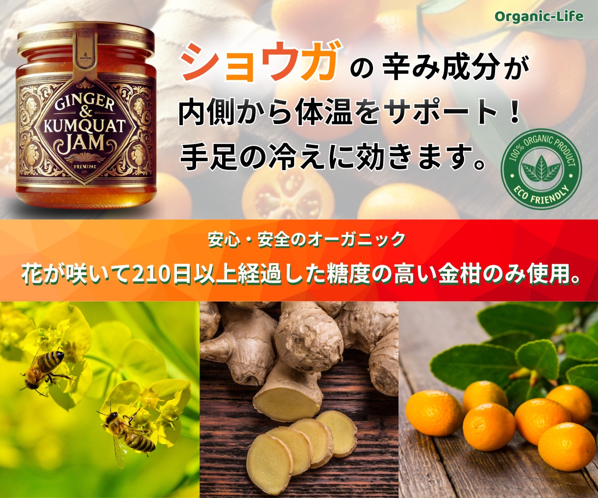 ECサイト画像を7枚¥6,000で作成します 1月末までのココナラデビュー記念価格(#^.^#) イメージ2