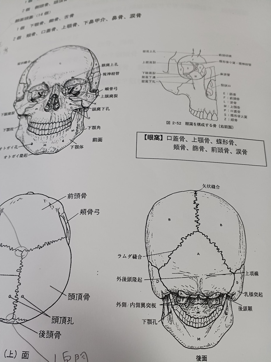 柔整鍼灸国家試験に対してのご相談を承ります 国家試験対策の講師として20年の経験があります イメージ1