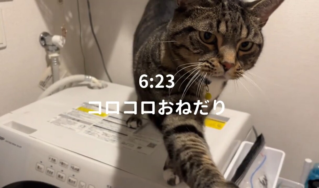 簡単なロングやショートの動画編集します カットだけ、字幕だけOKSEやBGM挿入もできます イメージ4