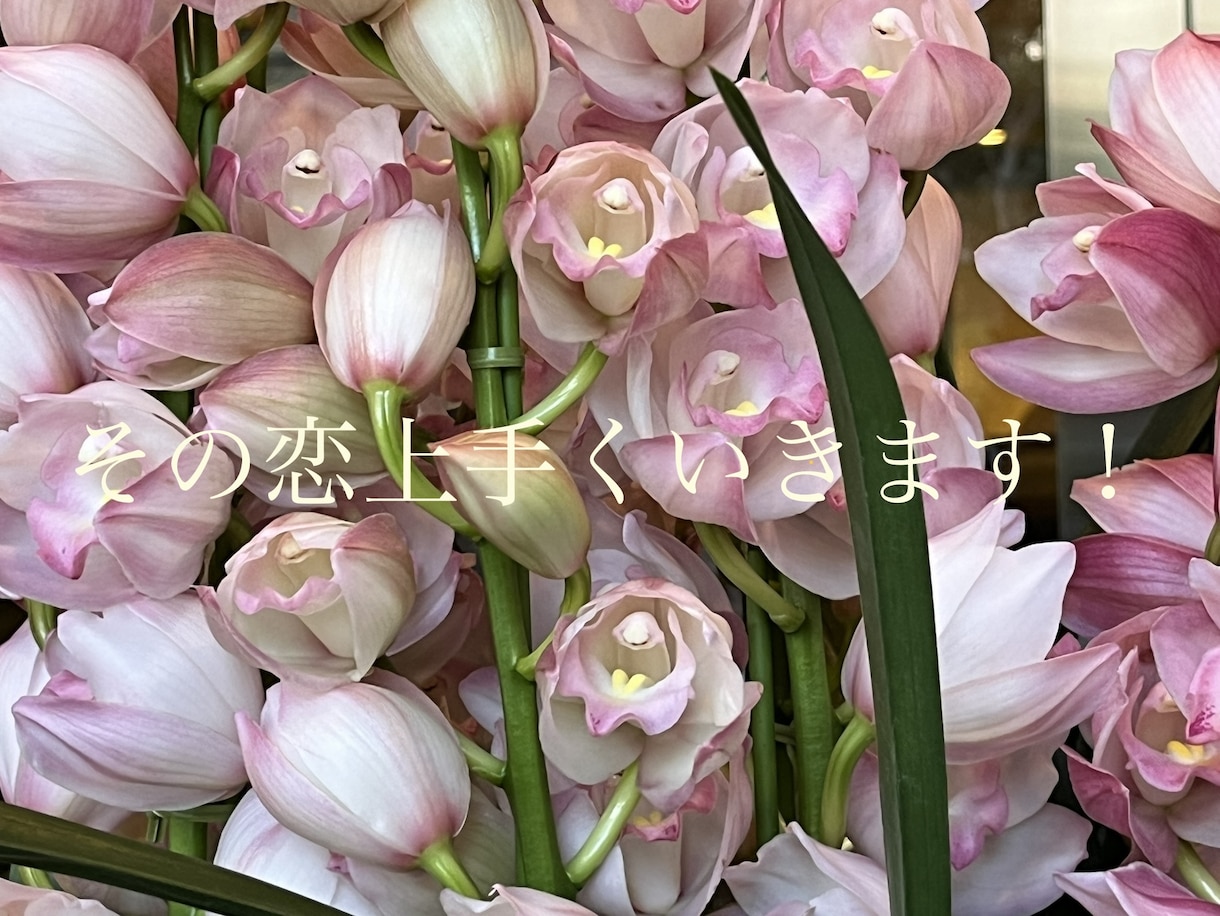 恋愛大作戦★愛される私になる　恋の叶え方教えます 誘う日、デートの日や場所。恋愛の傾向/性格/もし結婚したら… イメージ1
