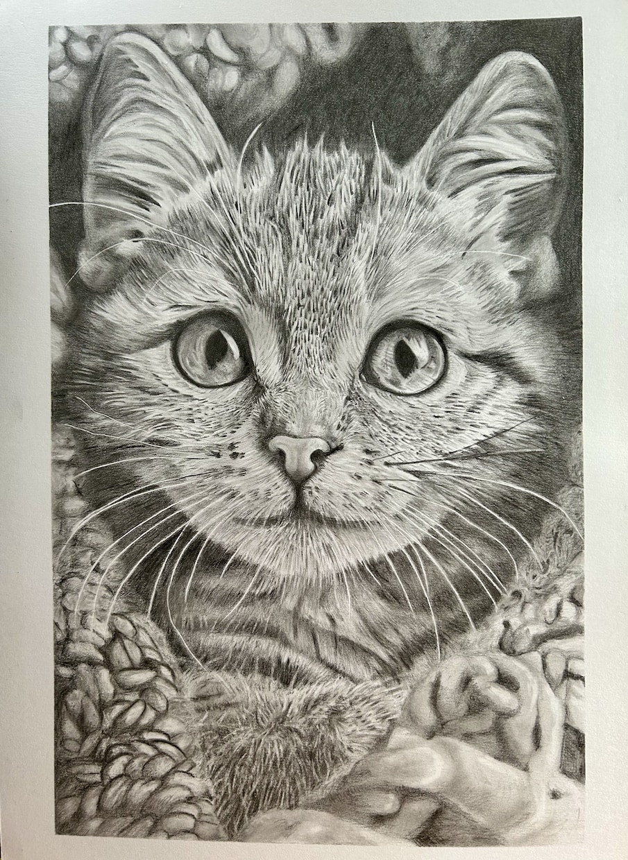 鉛筆画でペットのリアル似顔絵を手描きで作成致します 犬・猫を鉛筆で細部まで丁寧に描きます！ イメージ1