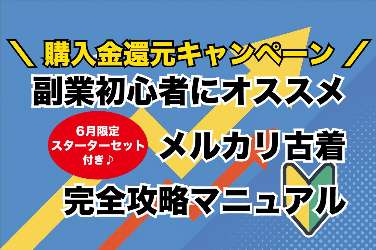 副業初心者OK◎メルカリ古着転売ノウハウを教えます 古着歴20年/取引実績1800件のプロが教える転売ノウハウ イメージ1