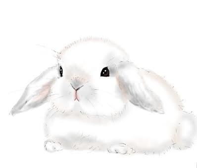 とりあえず話を聞いて欲しい方お待ちしております 精神疾患持ちが様々な面からサポートいたします イメージ1