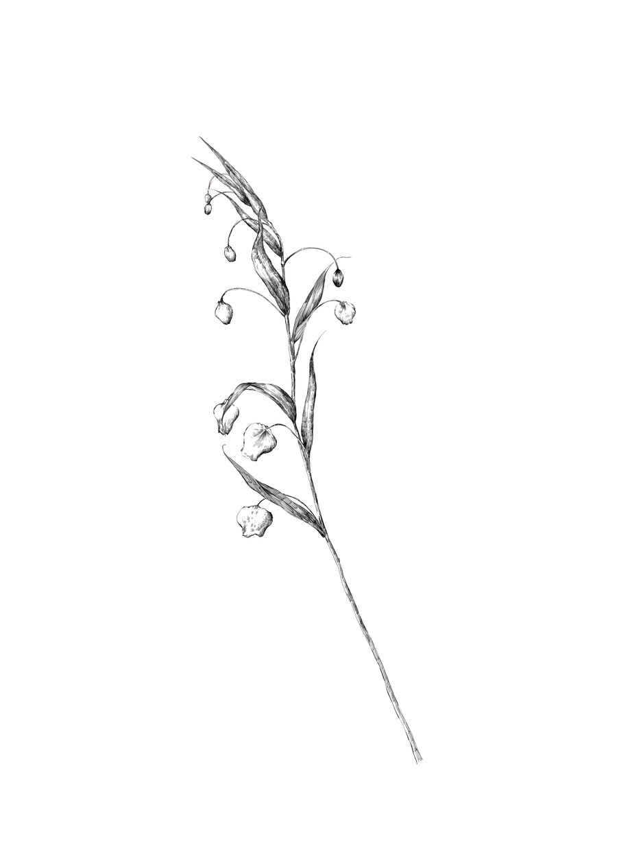 あなたのお好きな花束、描きます お好きな花束データ制作いたします。 イメージ8