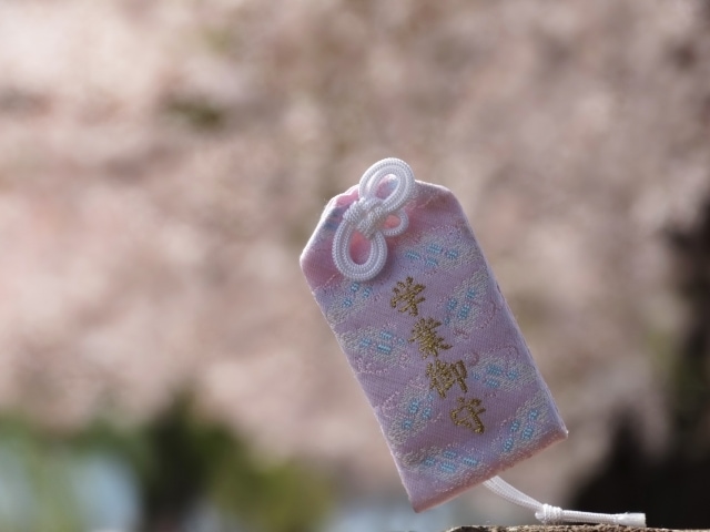 受験生ママの不安を解消し我が子を合格へいざないます 大丈夫！と言える母親の強さを届けます。ママに贈る合格タロット イメージ4