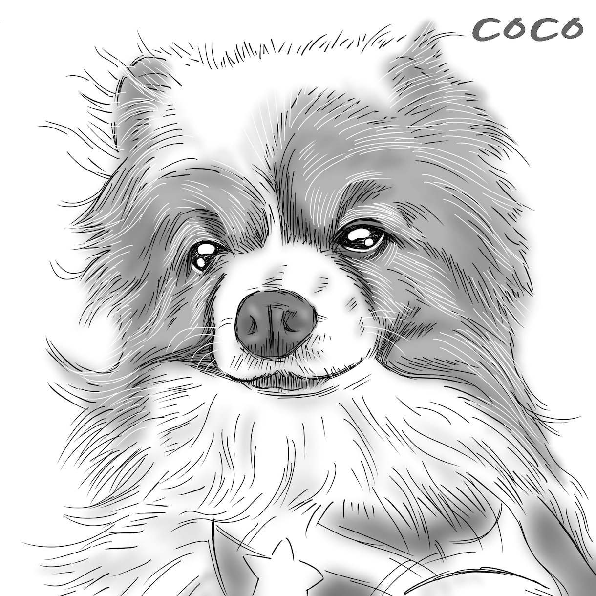 愛しているペットの写実画を描かせていただきます ☆漫画家として培ってきた技術で、描きます☆ イメージ3