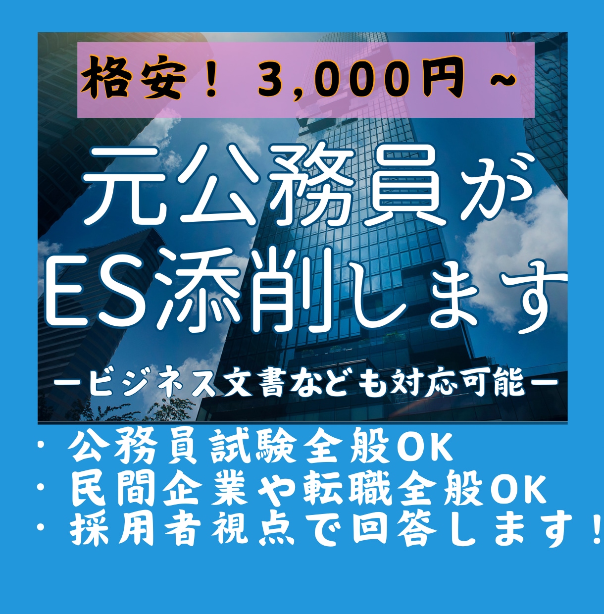 元公務員がエントリーシートを添削します 元市役所職員が丁寧なヒアリングでサポート！約1,000字OK イメージ1